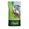 equilac kancatáp
