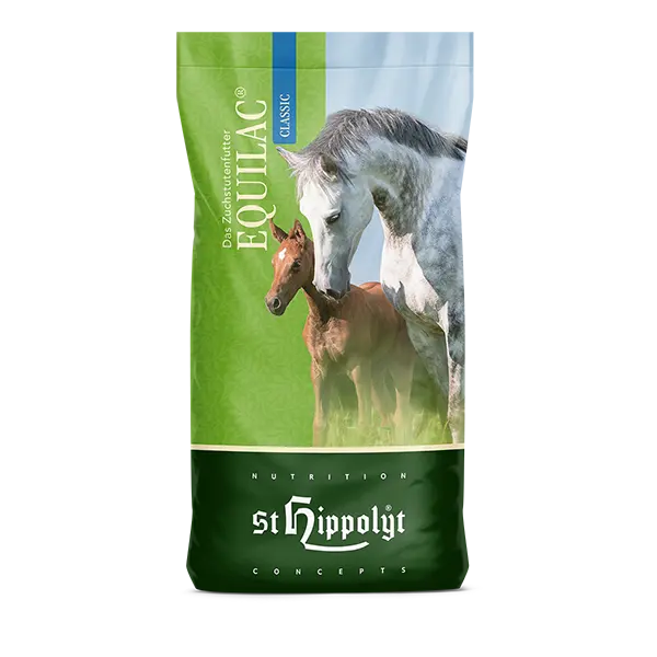 equilac kancatáp