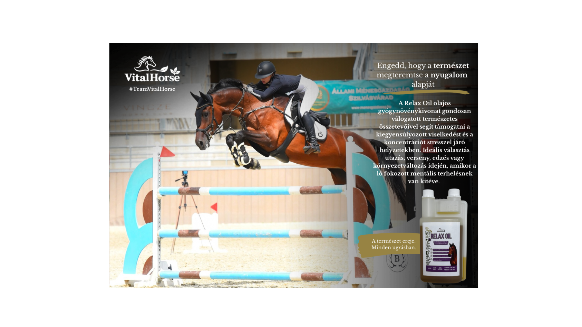 vitalhorse relax oil