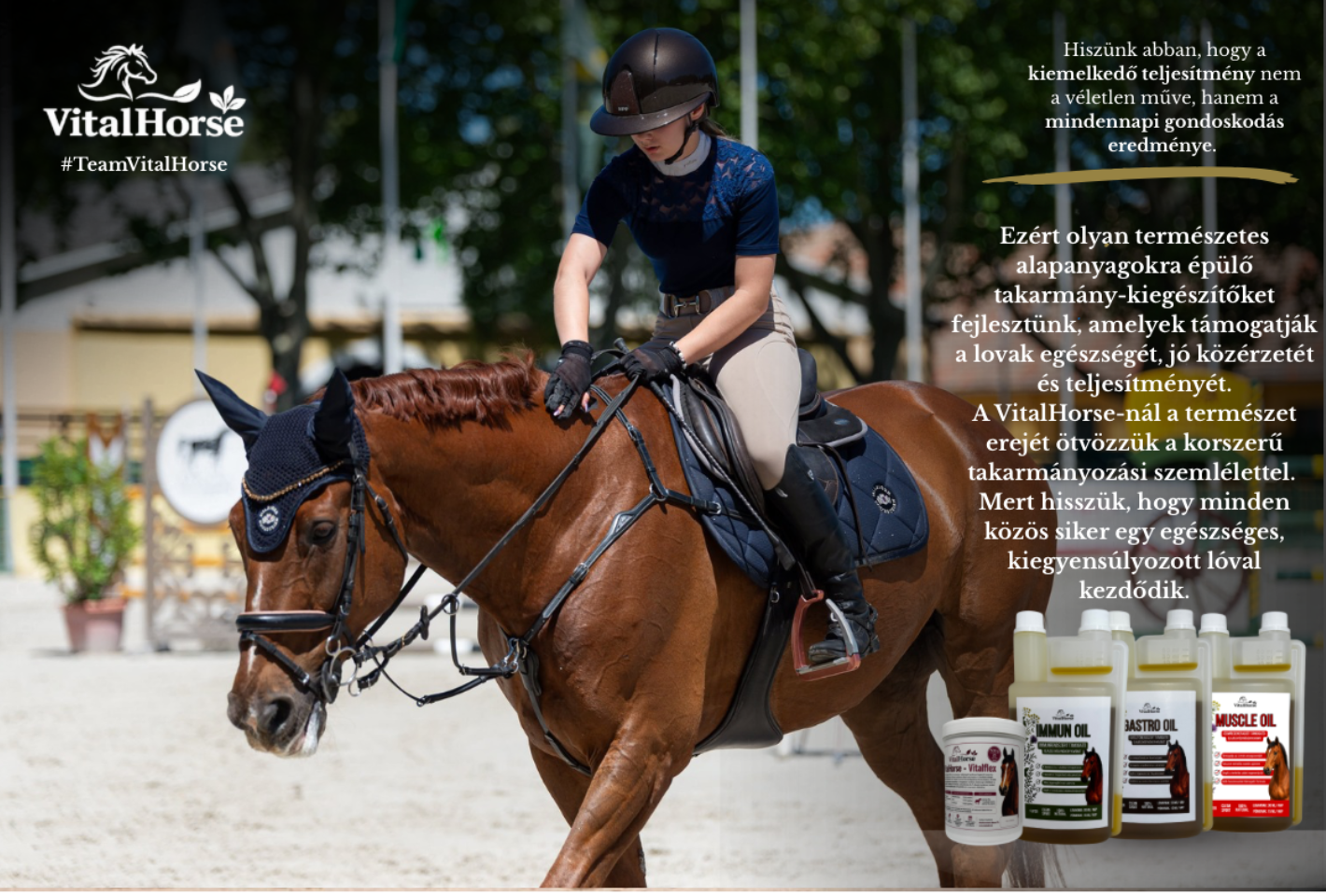 vitalhorse termékismertető
